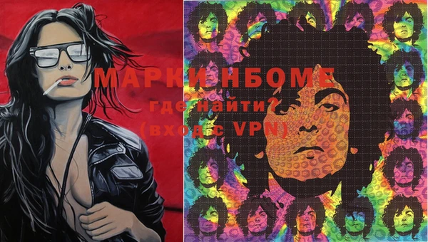 ПСИЛОЦИБИНОВЫЕ ГРИБЫ Абаза